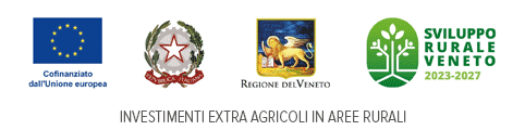 INVESTIMENTI EXTRA AGRICOLI IN AREE RURALI